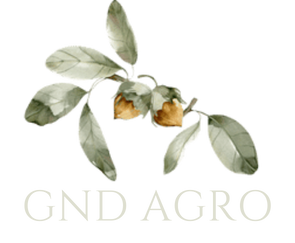 GND Agro Gıda